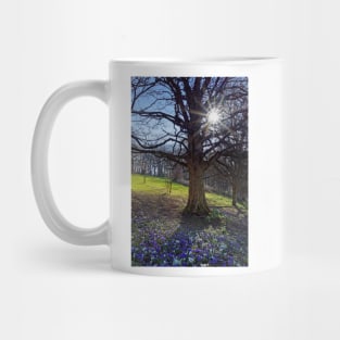 Crocus Sun Mug